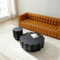 Table basse minimaliste italienne en fibre de verre, design pétale, noire, pour salon, petit appartement, mobilier moderne pour la maison