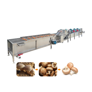 Linea di Lavaggio di Precisione in Acciaio Inox SUS304 per Mercati di Prodotti Freschi - Product Image 1