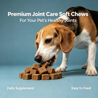 Complément alimentaire pour la santé des animaux de compagnie - Comprimés à mâcher doux et sûrs à la chondroïtine pour chiens et chats - Soins articulaires - Tous les âges - 2 g/unité