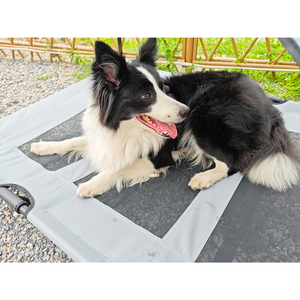 CanboPet-Cama elevada para perro, malla portátil, plegable, para exterior - Product Image 2