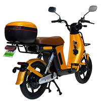 Vélo électrique hybride à assistance au pédalage pour adulte, 48V 250W 1000W, avec dispositif IoT pour la location et le partage, homologué CE CEE, type cyclomoteur, scooter, vélo tout-terrain