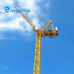 Giao hàng nhanh 8ton 10ton 80m luffing JIB cẩu tháp với giá thấp - Product Image 4