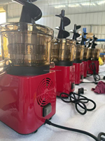Centrifugeuse lente domestique électrique entièrement automatique Séparateur de pulpe commercial multifonctionnel transfrontalier pour gingembre Anglais