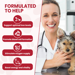 Complément alimentaire liquide pour chiens et chats, soutien sanguin, fer, marque privée OEM, gouttes de fer liquide pour animaux de compagnie, complément vitaminique, favorise la santé sanguine - Product Image 2