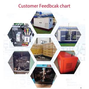 Op maat gemaakte CNG-gasturbinegenerator, éénfase, stabiele prestaties, UKCA-gecertificeerd voor gebruik in mijnen - Product Image 3