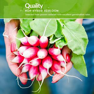 Collection de paquets de légumes sans OGM à pollinisation ouverte 6 jardinières de fleurs de dessus violet de carotte <span class=keywords><strong>d</strong></span>'héritage pour l'application de <span class=keywords><strong>jardin</strong></span> - Product Image 4