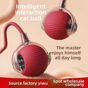 Nouveau jouet intelligent pour animaux de compagnie 360 ° corde interactive automatique jouets interactifs pour <span class=keywords><strong>chat</strong></span> avec chien balle intelligente jouet chargeur USB balle roulante pour chats - Product Image 3