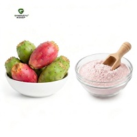 Poudre d'extrait de cactus Opuntia Ficus Indica 10:1, extrait végétal naturel pour les soins de la peau et les compléments alimentaires, qualité alimentaire