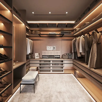 Dressing Moderne de Luxe, Dressing sur Mesure avec Grand Rangement et Éclairage LED