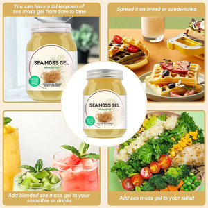 OEM & ODM Private Label campione gratuito di Gel aromatizzato Seamoss integratori a base di erbe biologico naturale Gel di muschio marino - Product Image 3