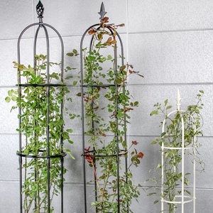 Spécification différente personnalisée <span class=keywords><strong>jardin</strong></span> pousser plante grimpante prend en charge fleur cage-plante treillis - Product Image 5
