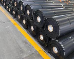 Chất Lượng Cao Sơn Đông HDPE Màng Đất HDPE Ao Lót Cá Trang Trại Bảng Hồ Bơi Bãi Rác - Product Image 1