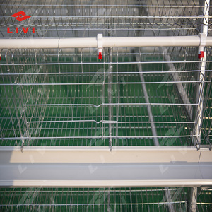 Hot Sale Modern New Breeding Equipment H Tipo Alimentador Automático Para Gaiola De Bateria São Usados Em Fazendas Comerciais - Product Image 2