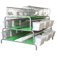 Équipement d'élevage de lapins à plusieurs niveaux, cages de reproduction de grande capacité pour usage commercial