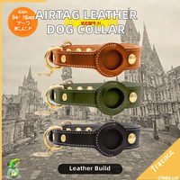 Collier de luxe pour chien en cuir réglable avec boucle métallique robuste et rubans solides, personnalisable (sans boîtier pour AirTag)