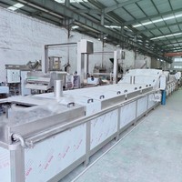 TEK Easy Clean Lifting Type Elektrische Verwarmings Blancheringsmachine Groenten Blancheringsmachine Industriële Blancheringsmachine Prijs
