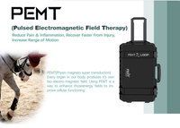 Dispositivo PEMF Portátil para Caballos, Campo Electromagnético Pulsado, Mejora la Relajación Muscular, Flexibilidad Articular, Aumenta la Movilidad
