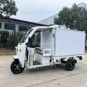 Triciclo Refrigerado, Congelador Eléctrico, Cadena de Frío, Entrega de Carga, Refrigerador Móvil para Almacenamiento de Alimentos y Helados - Product Image 1