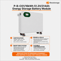 Batterie solaire LiFePO4 48V 314Ah 16,08kWh, montage sur rack, stockage d'énergie domestique, 15 unités en parallèle, UN38.3