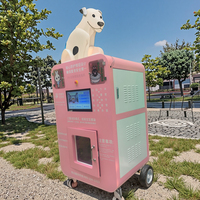 Nettoyeur automatique pour animaux de compagnie, machine à bain à l'hydrogène, dispositif de nettoyage des oreilles gris pour toilettage à domicile