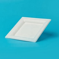 100% bagasse compostable assiettes de 10 pouces assiette de bagasse blanche jetable écologique