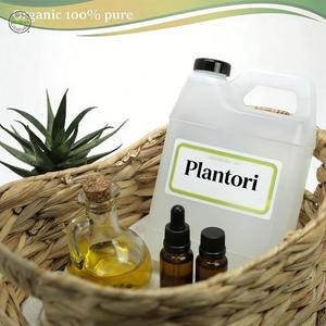 Aceites Esenciales Naturales de Menta y Eucalipto en Barra Roll-on Refrescante <span class=keywords><strong>para</strong></span> el Dolor de Cabeza, Aceite Portador Orgánico Perfecto al por Mayor - Product Image 6