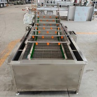 Jinglong JL-bubble reinigingsmachine - 3m multifunctioneel automatisch fruit- en groentewas- en reinigingssysteem 380V PLC-gestuurd
