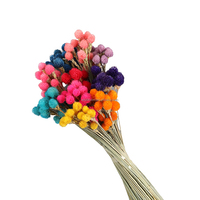 Buquês secos decorativos multicoloridos, arranjo de flores secas para morangos, frutas