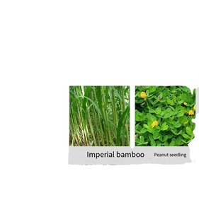Molino Eléctrico Automático para Alimentación de Ganado, Nuevo Estilo, Equipo Agrícola Doméstico para Procesamiento de Alimentos para Ganado Vacuno y Ovino - Product Image 5