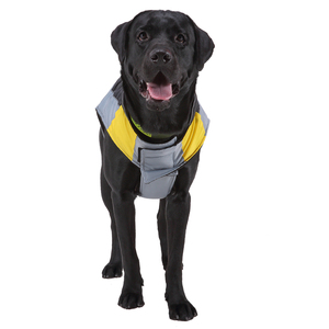 Varios <span class=keywords><strong>de</strong></span> buena calidad <span class=keywords><strong>de</strong></span> invierno ropa para <span class=keywords><strong>mascotas</strong></span> ropa súper cálido chaqueta <span class=keywords><strong>de</strong></span> perro ropa para perros - Product Image 5