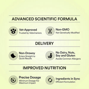 OEM/ODM เบตเตอร์ นิวทริชั่น ช่วยเสริมสร้างสุขภาพทางอารมณ์ แผ่นอมบรรเทาความเครียดสำหรับสัตว์เลี้ยงจากธรรมชาติ บรรจุภัณฑ์แบบกำหนดเองได้ - Product Image 5