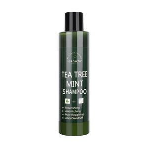 Shampooing de croissance des <span class=keywords><strong>cheveux</strong></span> bio unisexe Ensemble après-shampoing Formule gel naturelle Huiles essentielles-Gingembre Aloe Vera Arbre à thé Hommes Femmes <span class=keywords><strong>Cheveux</strong></span> - Product Image 6