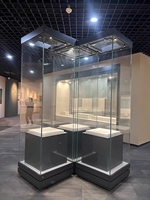 Vitrines de présentation de bijoux de style muséal avec éclairage LED, design écologique, construction durable et dimensions personnalisables