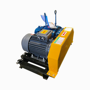 Souffleur Roots OEM à moteur électrique AC en fonte, à faible bruit, pour l'élevage intensif de crevettes - Product Image 1