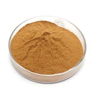 Poudre d'extrait de cornouiller <span class=keywords><strong>Officinalis</strong></span> <span class=keywords><strong>Fructus</strong></span> <span class=keywords><strong>Corni</strong></span> de haute qualité - Product Image 2