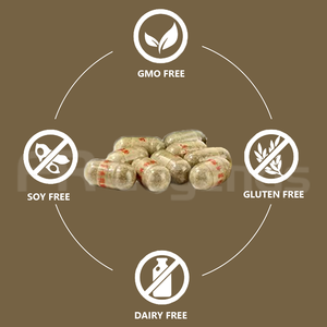 Hot Bán Tự Nhiên Nhà Máy Chiết Xuất Thảo Dược Bổ Sung Hỗ Trợ Tăng Trưởng Cơ Bắp Tăng Cường Hấp Thụ Nhân Sâm Bột - Product Image 6