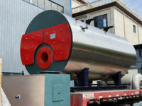 Chaudière industrielle à tubes de fumée à gazole lourd et au GNL de 0,5 à 30 tonnes à économie d'énergie pour les industries agroalimentaires.