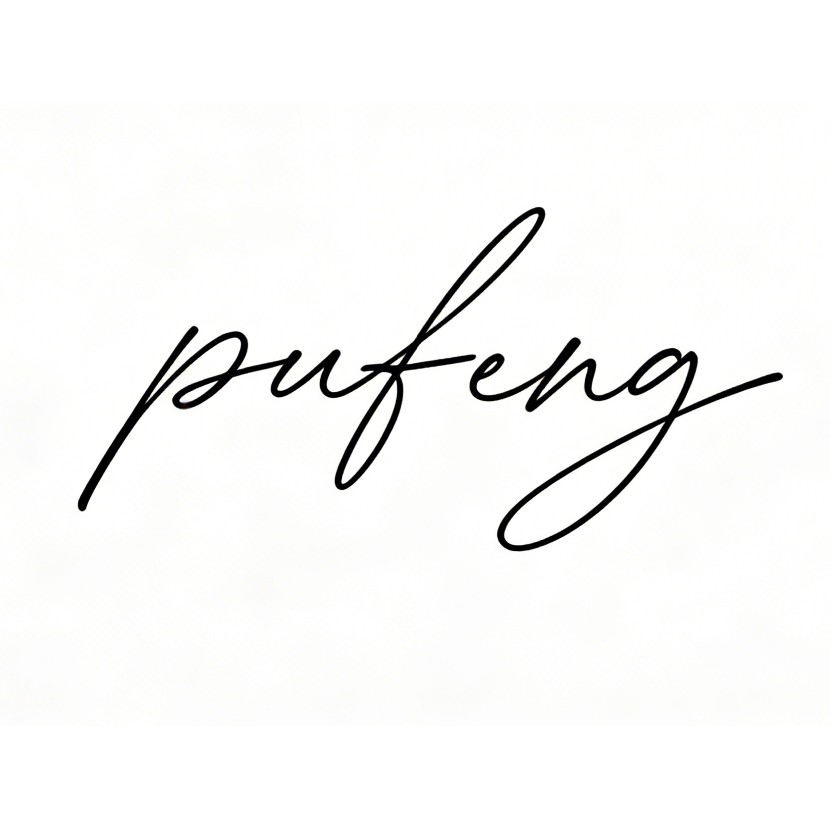 Zhejiang Pufeng Apparel Technology Co., Ltd. logo