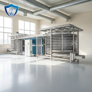 Tunnel de congélation IQF à air équilibré avec moteur automatique, haute productivité, égalisation des flux auxiliaires, congélateur à air pulsé mixte - Product Image 3