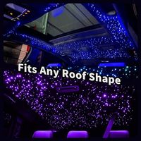 Kit d'éclairage LED pour ciel étoilé de voiture 16W, 1000 fibres optiques, moteur de lumière étoilée, IP65, contrôle par application et télécommande