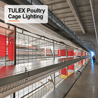 Tube lumineux LED pour volailles 48V DC IP67 étanche sans scintillement, gradation progressive 0-100% pour poulaillers de poulets de chair, de poules pondeuses et d'élevage