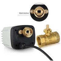 Vanne à boisseau sphérique électrique en laiton étanche IP65 DN15-DN50 1/2 pouce 3 fils 2 commandes AC220V DC12V DC24V Normalement Ouverte/Fermée