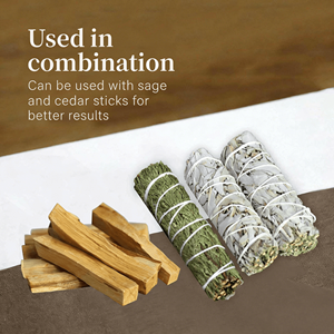 PALO SANTO PERUANO / <span class=keywords><strong>BURSERA</strong></span> <span class=keywords><strong>GRAVEOLENS</strong></span> / VARAS GRUESAS DE MADERA / 100% ORGÁNICO / COSECHADO DE MANEJA SOSTENIBLE / NATURAL / PERÚ - Product Image 2