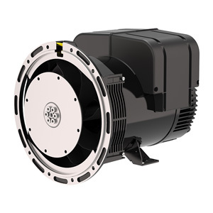 Nhà Máy Giá đồng bộ AC 40kw 50kw 100kw 160Kw 200Kw Leroy somer không chổi than phát điện với AVR - Product Image 6