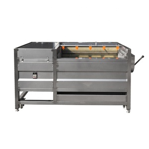 Máquina Profesional para Limpiar Raíces, Verduras y Jengibre - Product Image 2