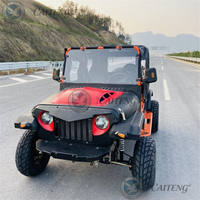 Vente en gros de mini-jeeps à essence 250cc, 350cc, 200cc, 300cc, 4x4, 4WD, mini-jeeps électriques pour adultes, buggy de plage, mini-jeeps tout-terrain