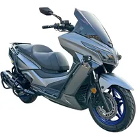Nouvelle barre de protection avant Xciting 250/300 version Spotlight, anti-chute, anti-collision, protection d'échappement en acier inoxydable épais pour