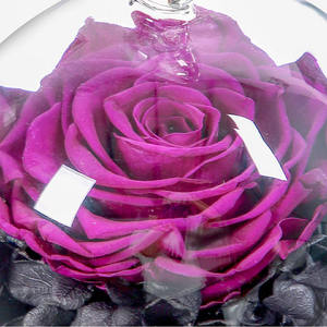 Roses éternelles en verre avec éclairage, fleurs romantiques, pour la saint-valentin, romantiques, vente en gros, pour la saint-valentin - Product Image 5