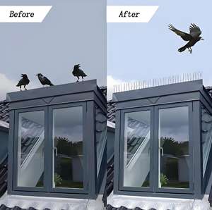 Özelleştirilmiş Çevre Dostu Tek Kullanımlık Paslanmaz Çelik 304 Kuş Kovucu Çatı Tırmanma Önleyici Böcek Kontrolü Pestisit Spreyi Haşere - Product Image 4