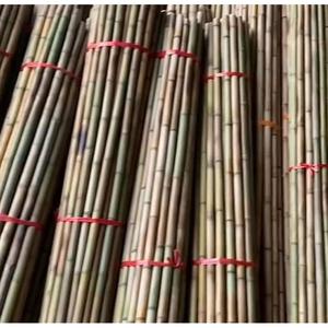 Bâtons de bambou naturels en gros pour le soutien des plantes agricoles, cannes de jardin pour pépinières, vignobles et fleurs – Vietnam - Product Image 5